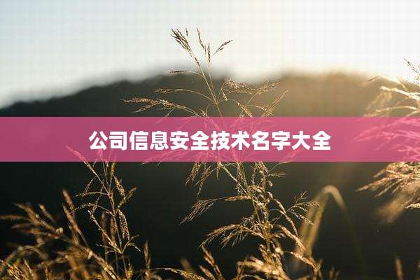 公司信息安全技术名字大全