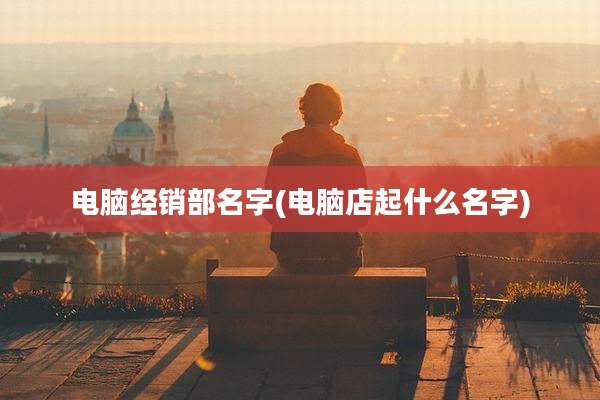 电脑经销部名字(电脑店起什么名字)