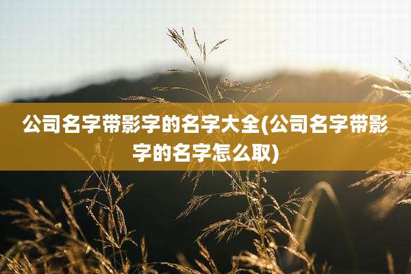 公司名字带影字的名字大全(公司名字带影字的名字怎么取)