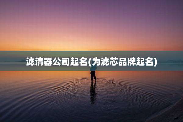 滤清器公司起名(为滤芯品牌起名)