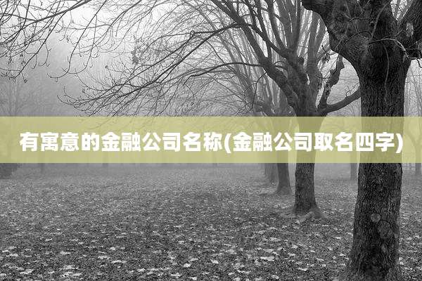 有寓意的金融公司名称(金融公司取名四字)