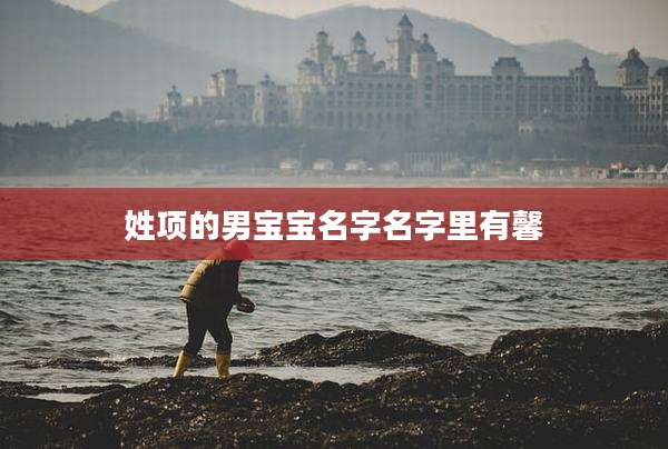 姓项的男宝宝名字名字里有馨