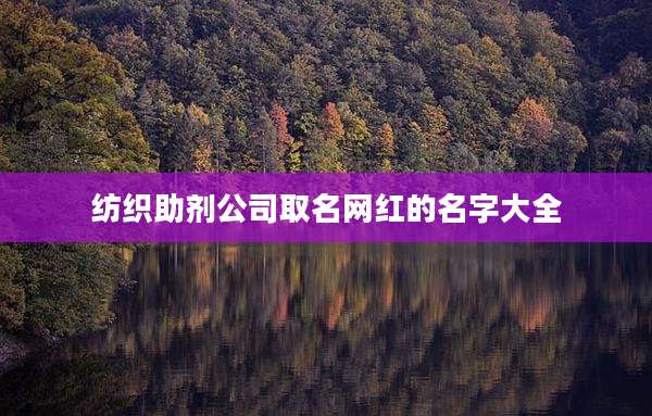 纺织助剂公司取名网红的名字大全