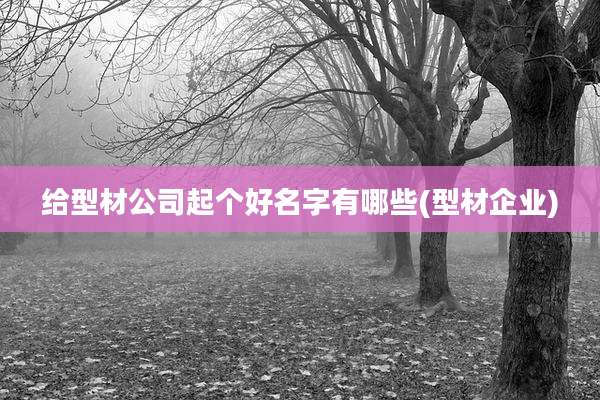 给型材公司起个好名字有哪些(型材企业)