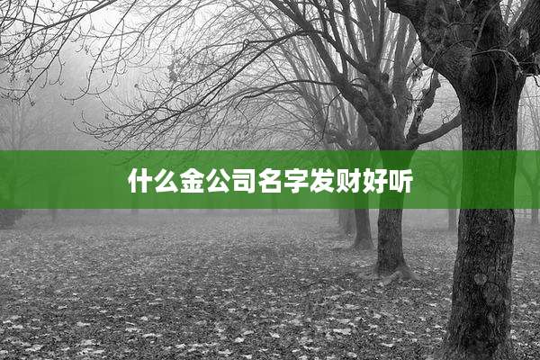 什么金公司名字发财好听