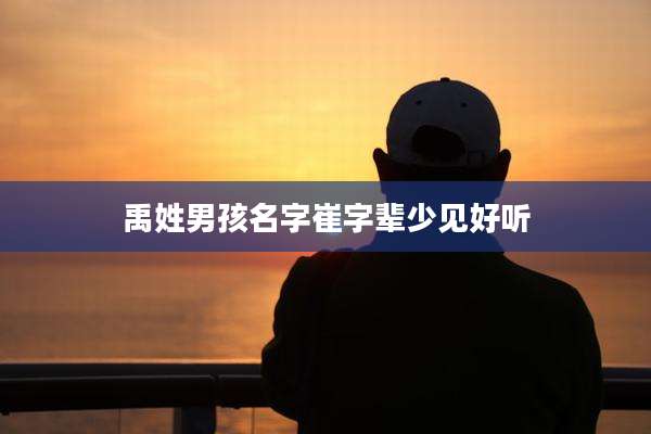 禹姓男孩名字崔字辈少见好听