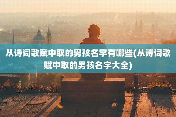 从诗词歌赋中取的男孩名字有哪些(从诗词歌赋中取的男孩名字大全)
