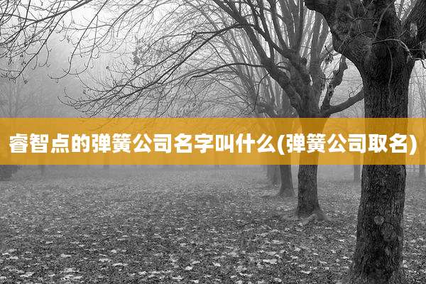 睿智点的弹簧公司名字叫什么(弹簧公司取名)