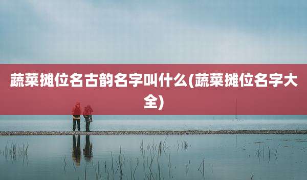 蔬菜摊位名古韵名字叫什么(蔬菜摊位名字大全)