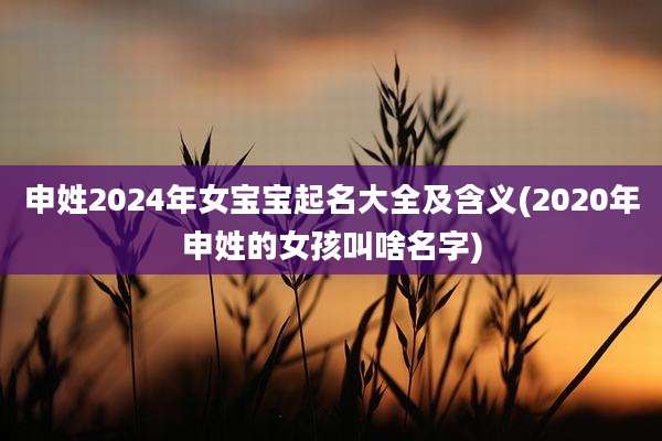 申姓2024年女宝宝起名大全及含义(2020年申姓的女孩叫啥名字)