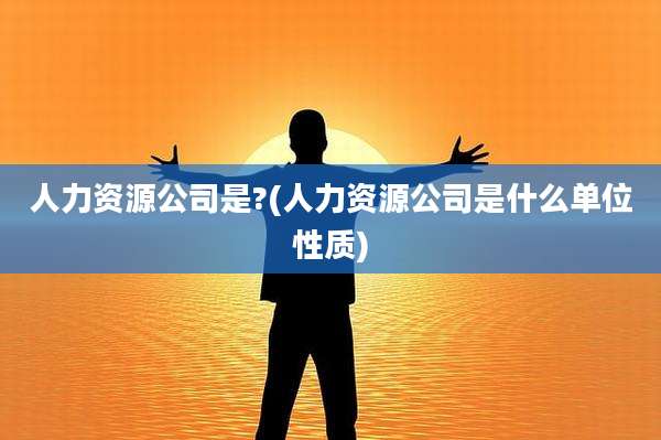 人力资源公司是?(人力资源公司是什么单位性质)
