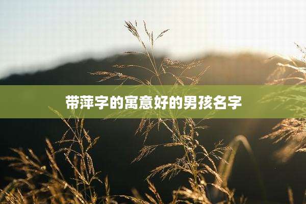 带萍字的寓意好的男孩名字