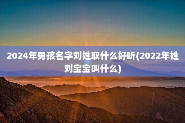 2024年男孩名字刘姓取什么好听(2022年姓刘宝宝叫什么)