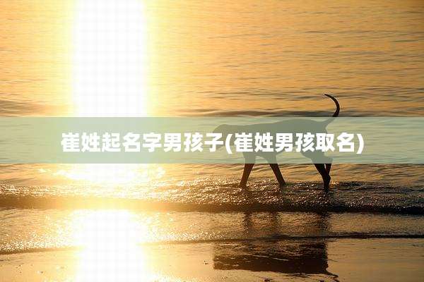 崔姓起名字男孩子(崔姓男孩取名)