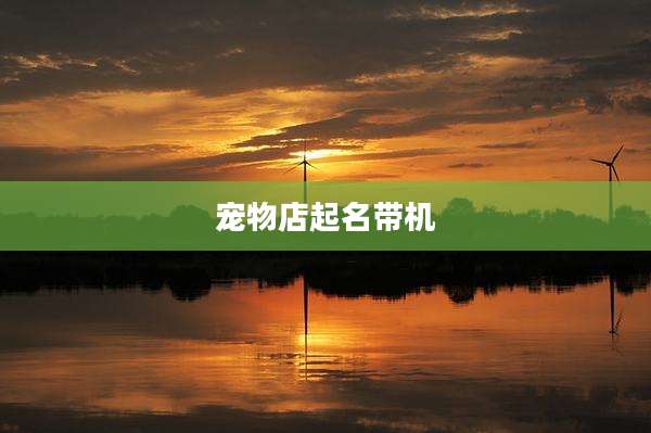 宠物店起名带机
