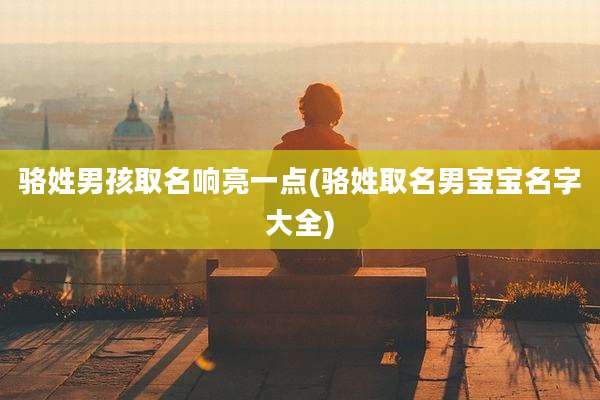 骆姓男孩取名响亮一点(骆姓取名男宝宝名字大全)