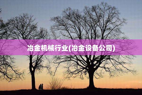 冶金机械行业(冶金设备公司)