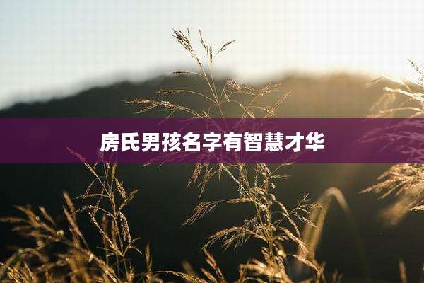 房氏男孩名字有智慧才华