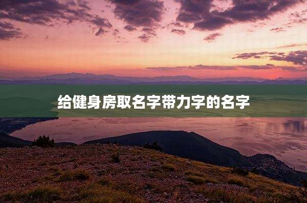 给健身房取名字带力字的名字