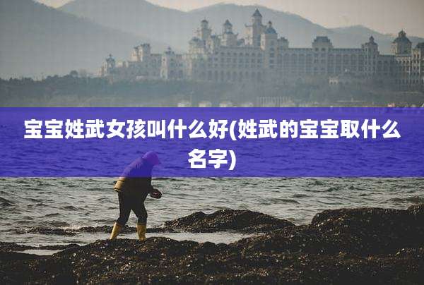 宝宝姓武女孩叫什么好(姓武的宝宝取什么名字)