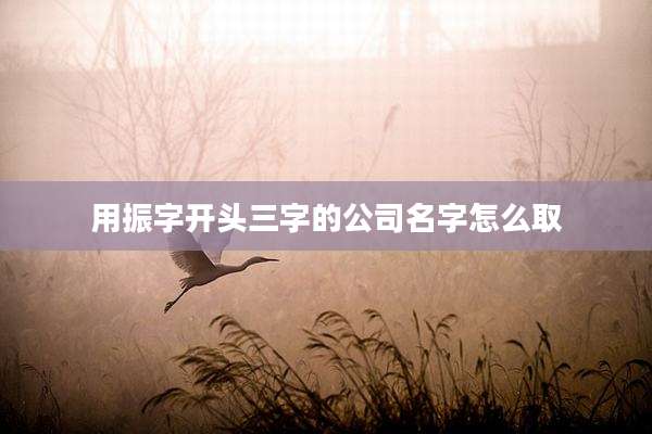 用振字开头三字的公司名字怎么取