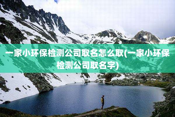 一家小环保检测公司取名怎么取(一家小环保检测公司取名字)