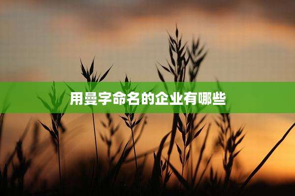 用曼字命名的企业有哪些