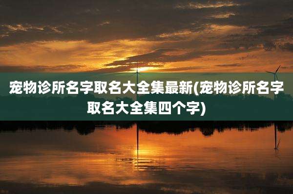 宠物诊所名字取名大全集最新(宠物诊所名字取名大全集四个字)