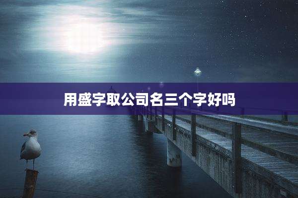 用盛字取公司名三个字好吗