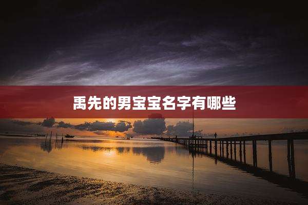 禹先的男宝宝名字有哪些