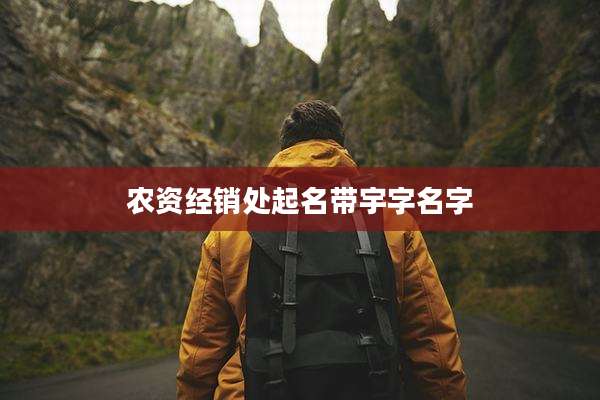 农资经销处起名带宇字名字
