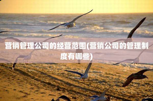 营销管理公司的经营范围(营销公司的管理制度有哪些)