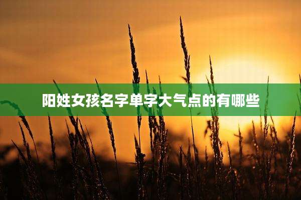 阳姓女孩名字单字大气点的有哪些
