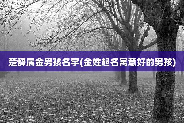 楚辞属金男孩名字(金姓起名寓意好的男孩)