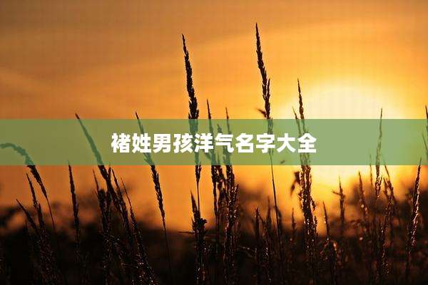 褚姓男孩洋气名字大全