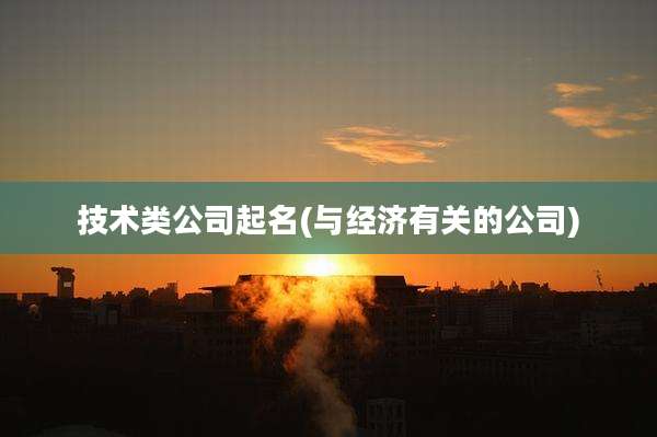 技术类公司起名(与经济有关的公司)