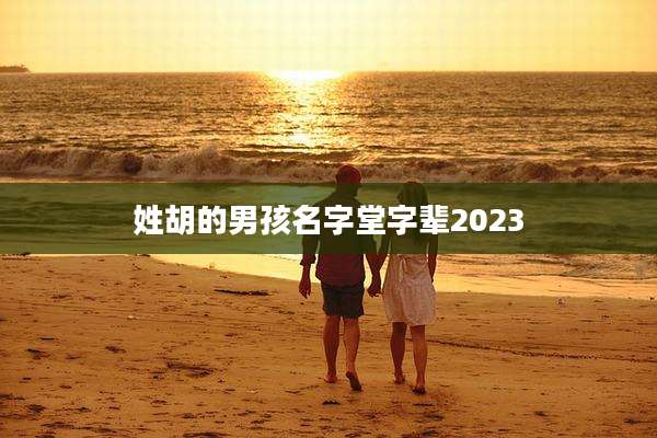 姓胡的男孩名字堂字辈2023