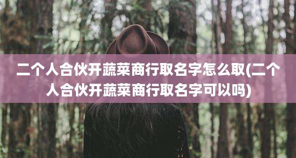 二个人合伙开蔬菜商行取名字怎么取(二个人合伙开蔬菜商行取名字可以吗)
