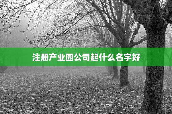 注册产业园公司起什么名字好