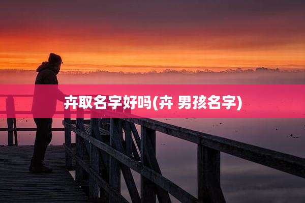 卉取名字好吗(卉 男孩名字)