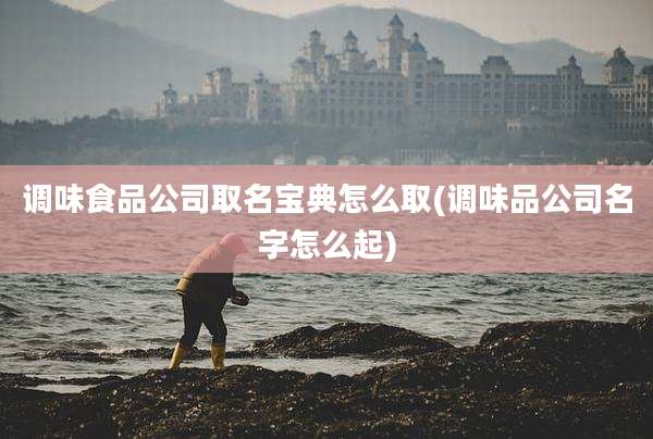 调味食品公司取名宝典怎么取(调味品公司名字怎么起)