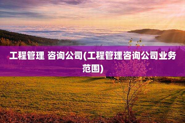 工程管理 咨询公司(工程管理咨询公司业务范围)