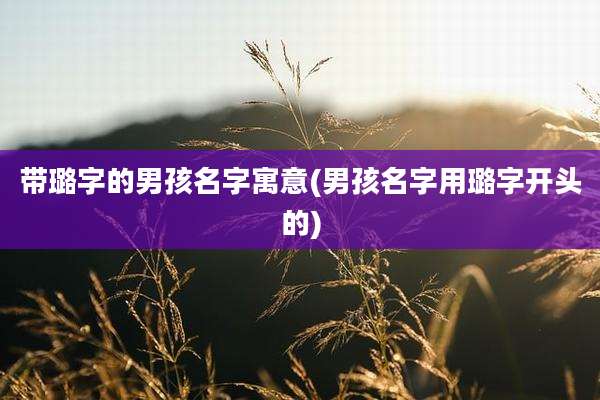 带璐字的男孩名字寓意(男孩名字用璐字开头的)
