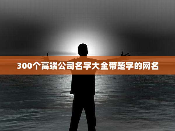 300个高端公司名字大全带楚字的网名