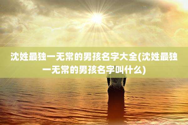 沈姓最独一无常的男孩名字大全(沈姓最独一无常的男孩名字叫什么)