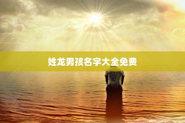 姓龙男孩名字大全免费
