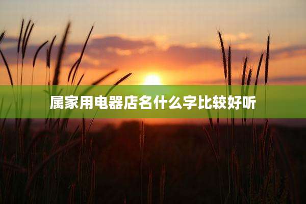 属家用电器店名什么字比较好听