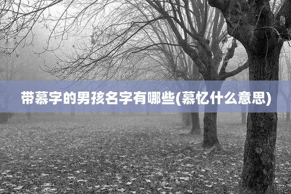 带慕字的男孩名字有哪些(慕忆什么意思)