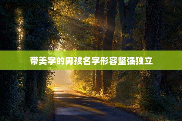 带美字的男孩名字形容坚强独立