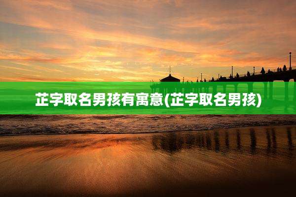 芷字取名男孩有寓意(芷字取名男孩)